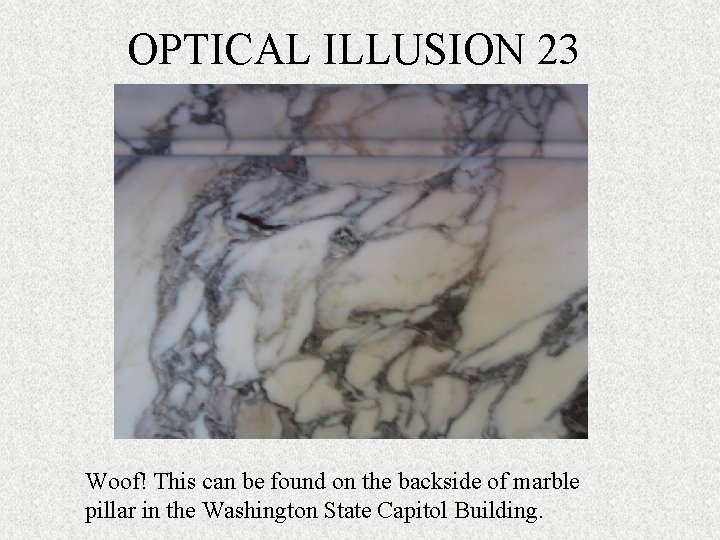 OPTICAL ILLUSION 23 Woof! This can be found on the backside of marble pillar