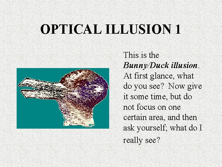 OPTICAL ILLUSION 1 This is the Bunny/Duck illusion. At first glance, what do you