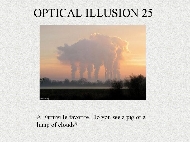 OPTICAL ILLUSION 25 A Farmville favorite. Do you see a pig or a lump
