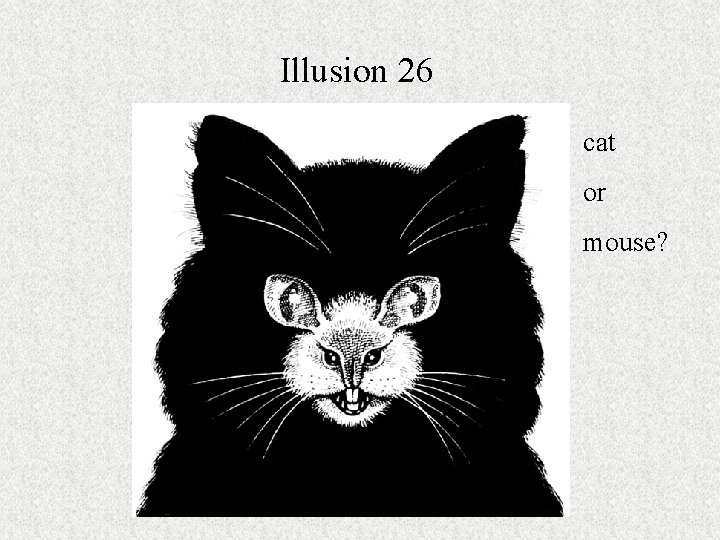 Illusion 26 cat or mouse? 