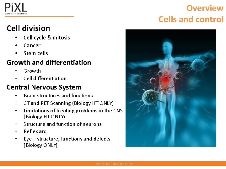 Cell division • • • Cell cycle & mitosis Cancer Stem cells Growth and