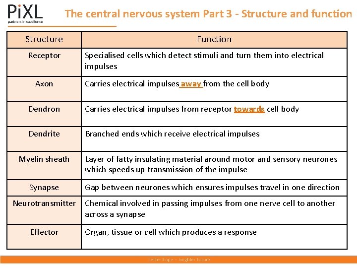 The central nervous system Part 3 - Structure and function Structure Receptor Axon Function