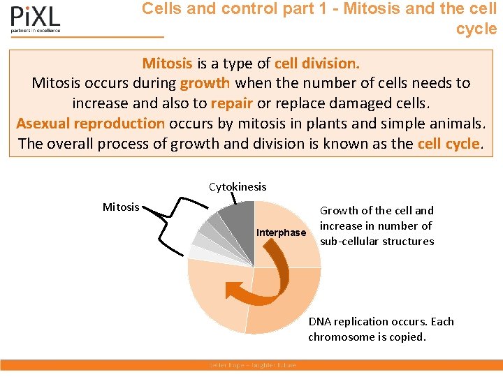 Cells and control part 1 - Mitosis and the cell cycle Mitosis is a