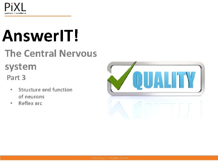 Answer. IT! The Central Nervous system Part 3 • • Structure and function of
