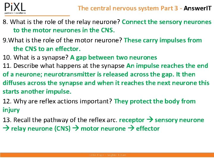 The central nervous system Part 3 - Answer. IT 8. What is the role