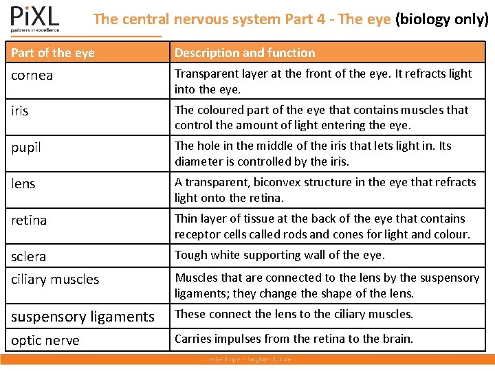 The central nervous system Part 4 - The eye (biology only) Part of the