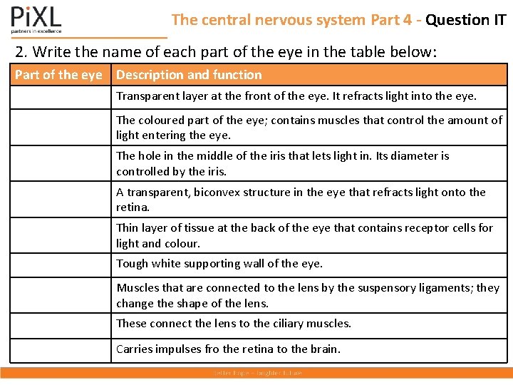 The central nervous system Part 4 - Question IT 2. Write the name of