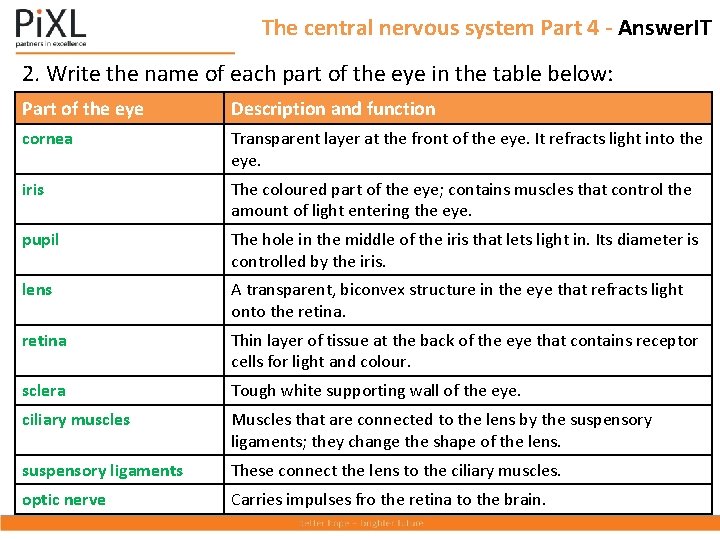 The central nervous system Part 4 - Answer. IT 2. Write the name of
