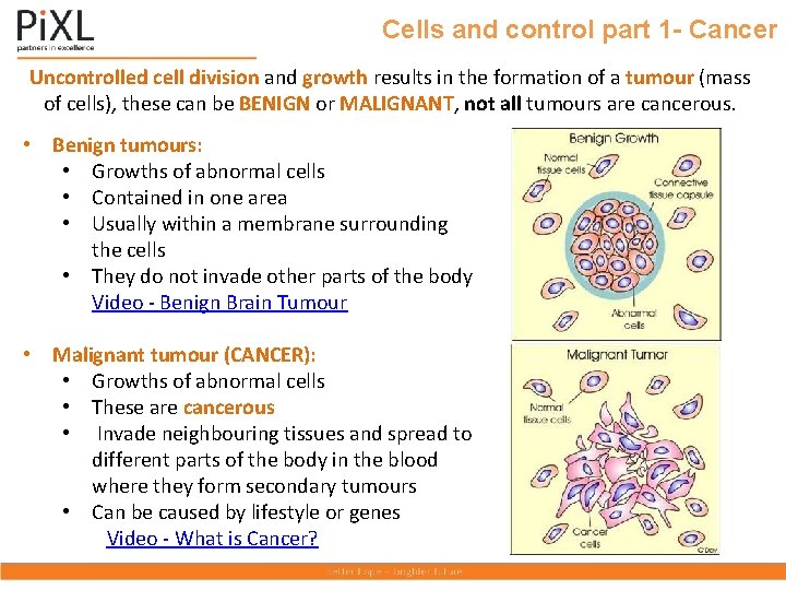 Cells and control part 1 - Cancer Uncontrolled cell division and growth results in