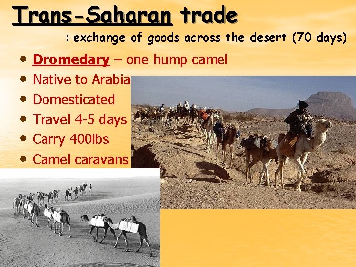 Trans-Saharan trade : exchange of goods across the desert (70 days) • • •