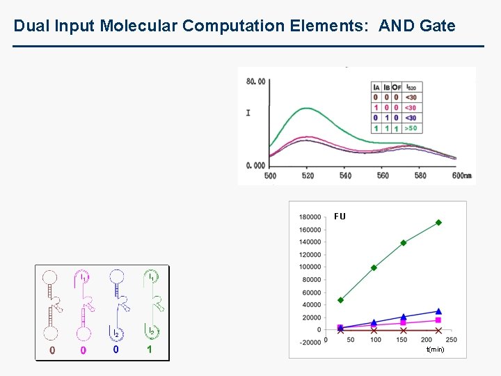 Dual Input Molecular Computation Elements: AND Gate FU t(min) 