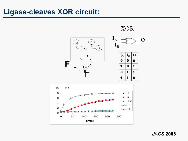 Ligase-cleaves XOR circuit: XOR IA IB O JACS 2005 