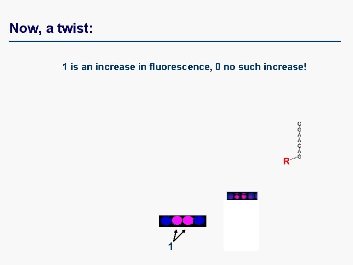 Now, a twist: 1 is an increase in fluorescence, 0 no such increase! 1