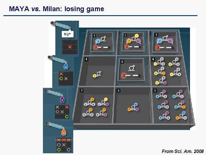 MAYA vs. Milan: losing game Mg 2+ From Sci. Am. 2008 