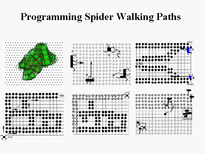 Programming Spider Walking Paths 