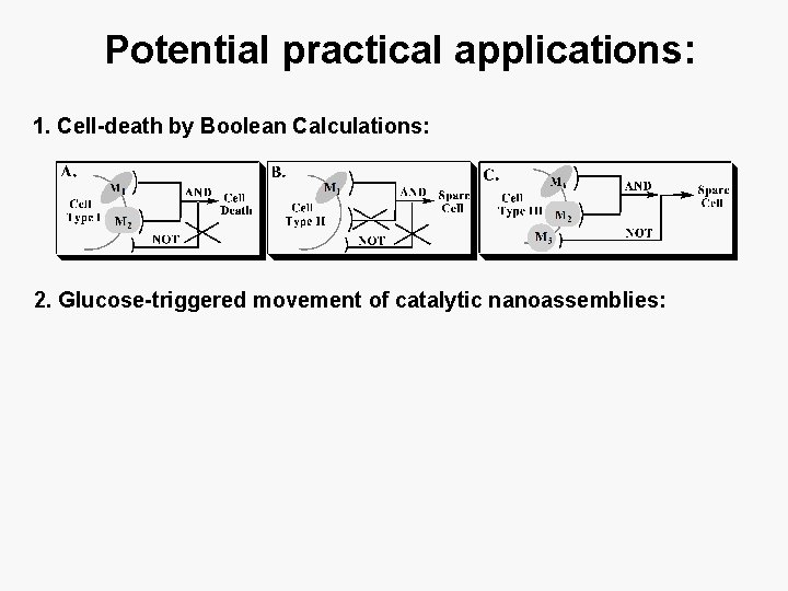 Potential practical applications: 1. Cell-death by Boolean Calculations: 2. Glucose-triggered movement of catalytic nanoassemblies: