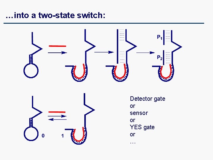 …into a two-state switch: Detector gate or sensor or YES gate or … 