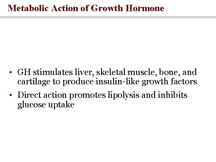 Metabolic Action of Growth Hormone • GH stimulates liver, skeletal muscle, bone, and cartilage