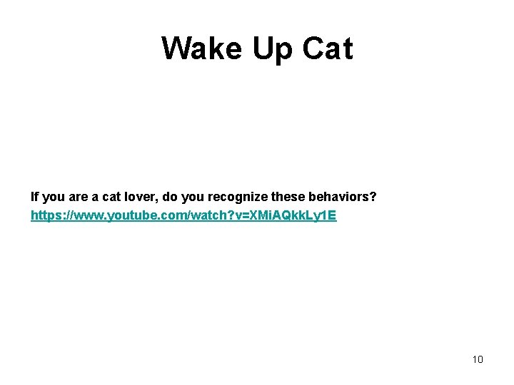 Wake Up Cat If you are a cat lover, do you recognize these behaviors?