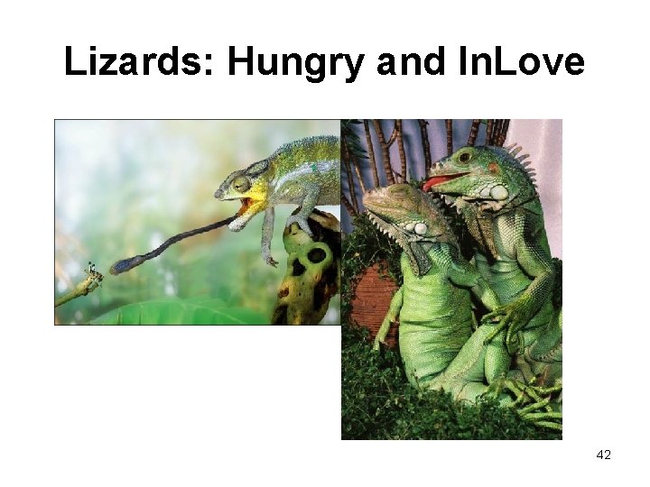 Lizards: Hungry and In. Love 42 