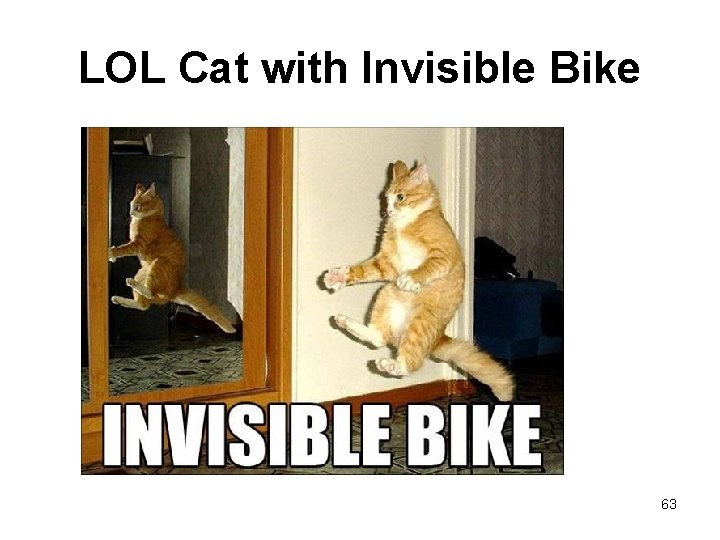 LOL Cat with Invisible Bike 63 