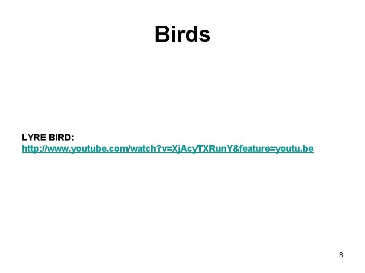 Birds LYRE BIRD: http: //www. youtube. com/watch? v=Xj. Acy. TXRun. Y&feature=youtu. be 8 