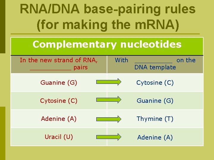 RNA/DNA base-pairing rules (for making the m. RNA) Complementary nucleotides In the new strand
