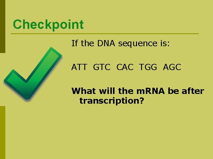 Checkpoint If the DNA sequence is: ATT GTC CAC TGG AGC What will the