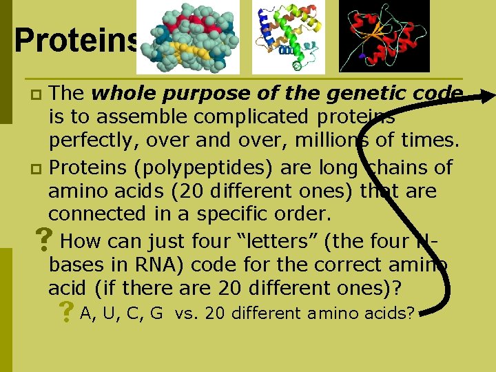 Proteins The whole purpose of the genetic code is to assemble complicated proteins perfectly,