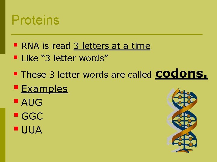 Proteins § RNA is read 3 letters at a time § Like “ 3
