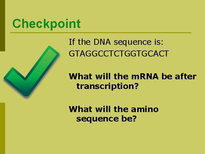 Checkpoint If the DNA sequence is: GTAGGCCTCTGGTGCACT What will the m. RNA be after