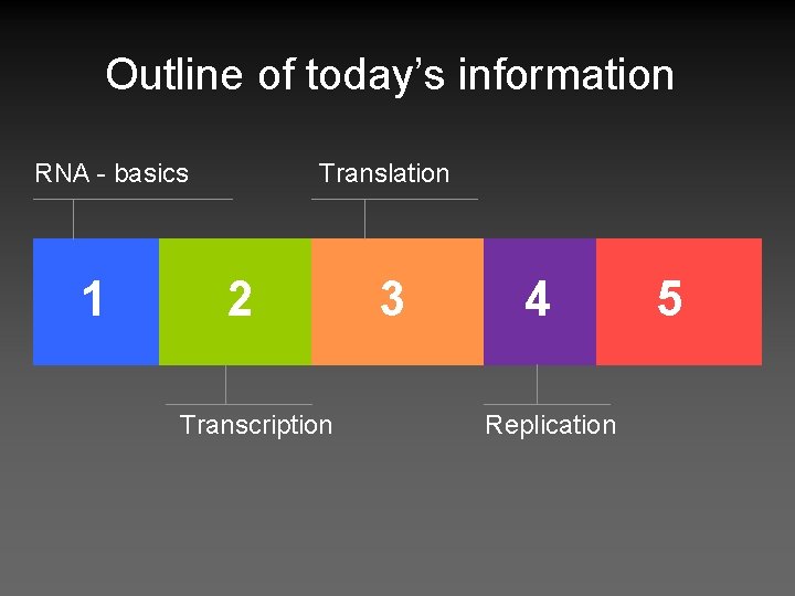 Outline of today’s information Translation RNA - basics 1 2 Transcription 3 4 Replication