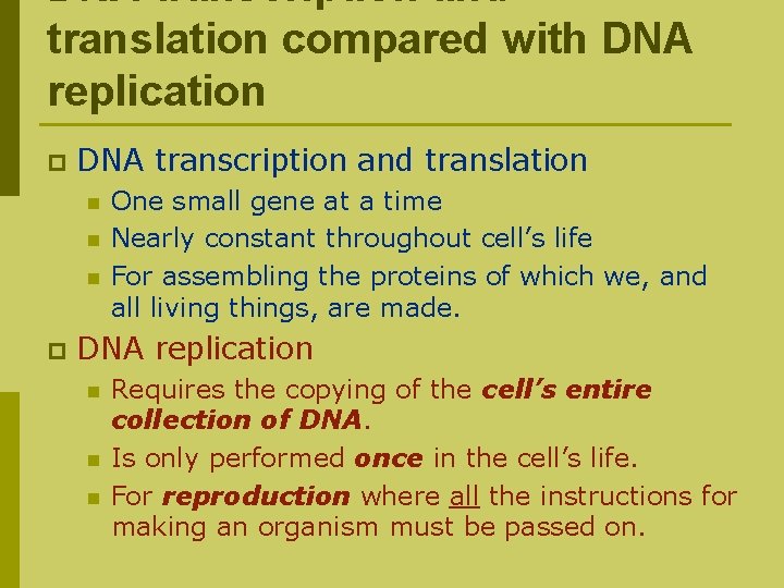 DNA transcription and translation compared with DNA replication p DNA transcription and translation n
