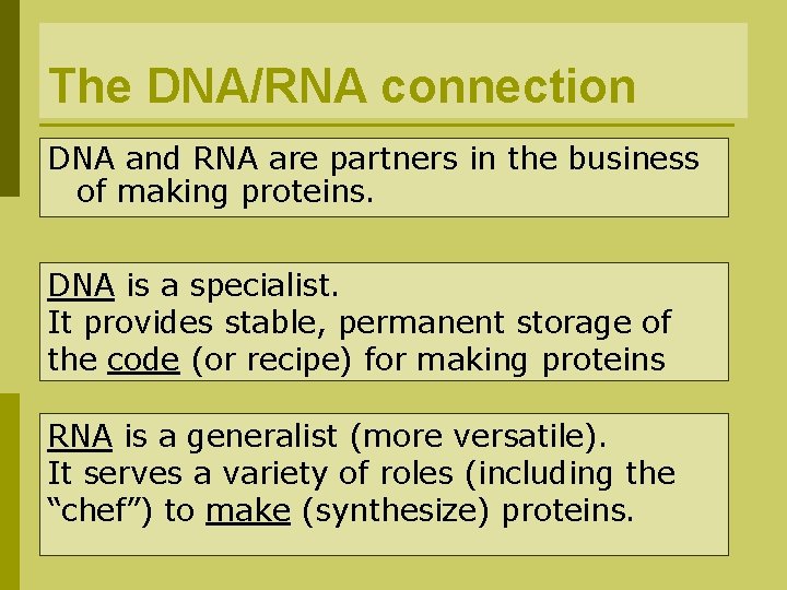 The DNA/RNA connection DNA and RNA are partners in the business of making proteins.