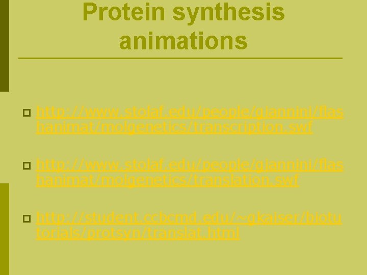 Protein synthesis animations p http: //www. stolaf. edu/people/giannini/flas hanimat/molgenetics/transcription. swf p http: //www. stolaf.