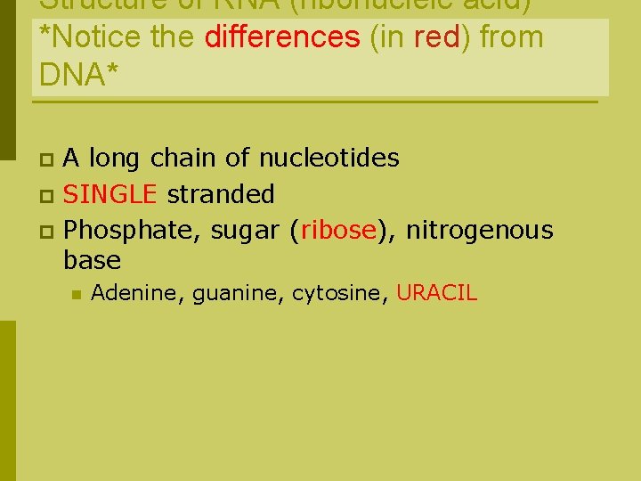 Structure of RNA (ribonucleic acid) *Notice the differences (in red) from DNA* A long