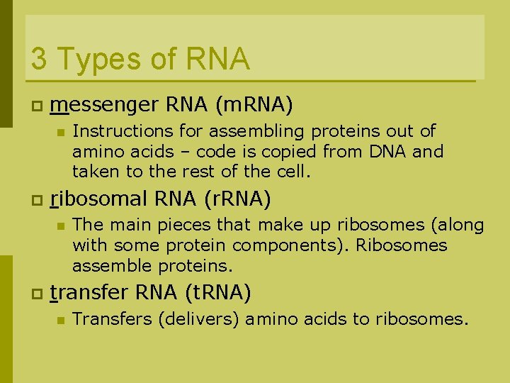 3 Types of RNA p messenger RNA (m. RNA) n p ribosomal RNA (r.