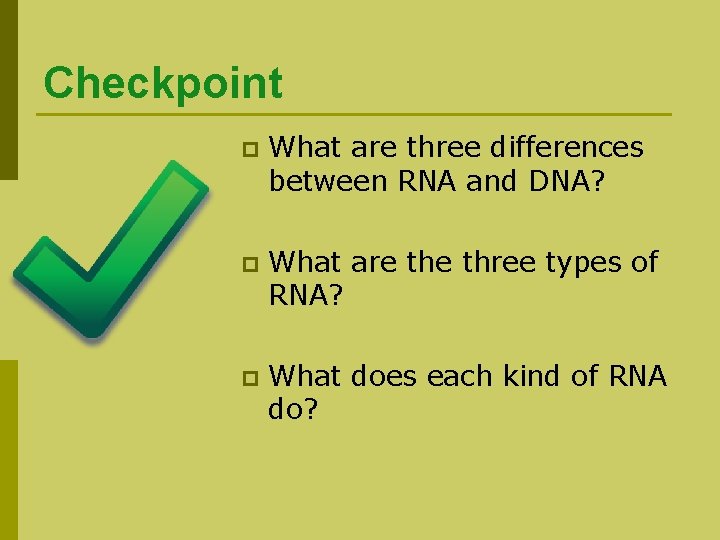 Checkpoint p What are three differences between RNA and DNA? p What are three