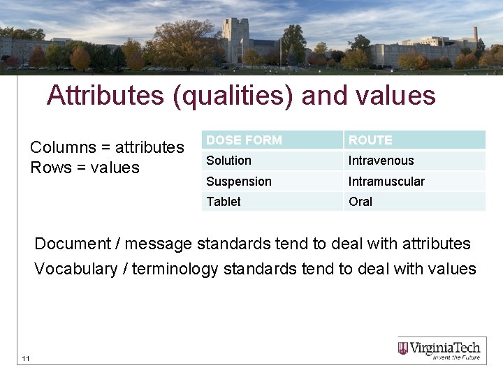 Attributes (qualities) and values Columns = attributes Rows = values DOSE FORM ROUTE Solution