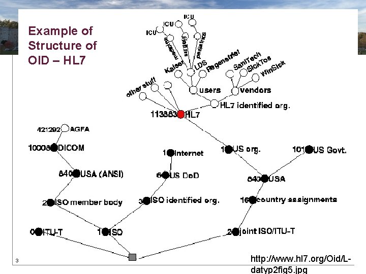 Example of Structure of OID – HL 7 38 http: //www. hl 7. org/Oid/Ldatyp