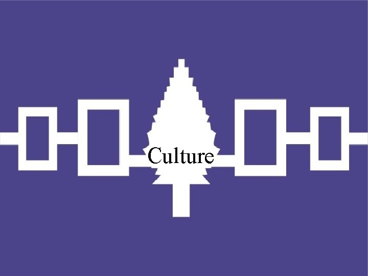 Culture 
