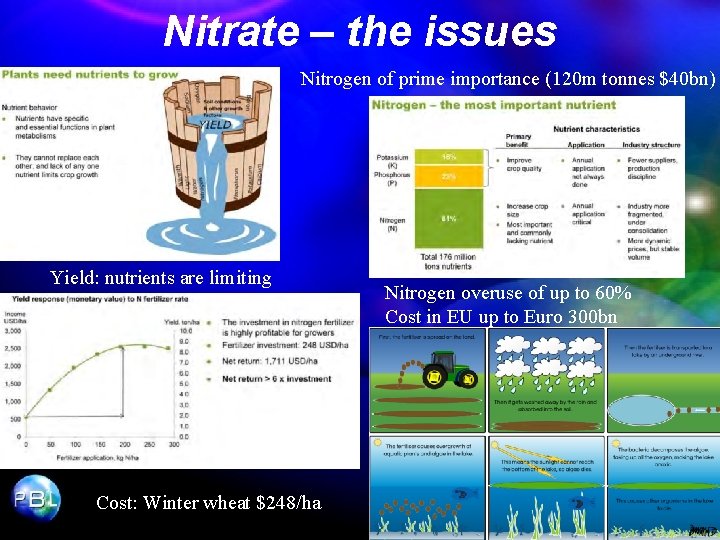 Nitrate – the issues Nitrogen of prime importance (120 m tonnes $40 bn) Yield: