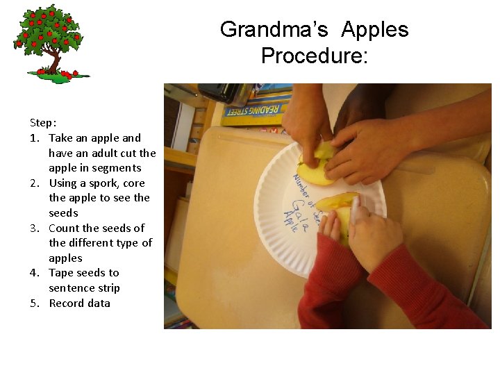 Grandma’s Apples Procedure: Step: 1. Take an apple and have an adult cut the