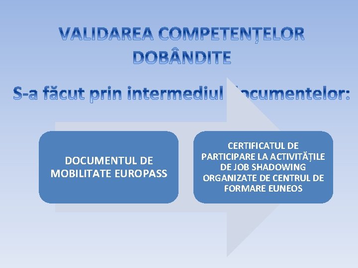 DOCUMENTUL DE MOBILITATE EUROPASS CERTIFICATUL DE PARTICIPARE LA ACTIVITĂȚILE DE JOB SHADOWING ORGANIZATE DE