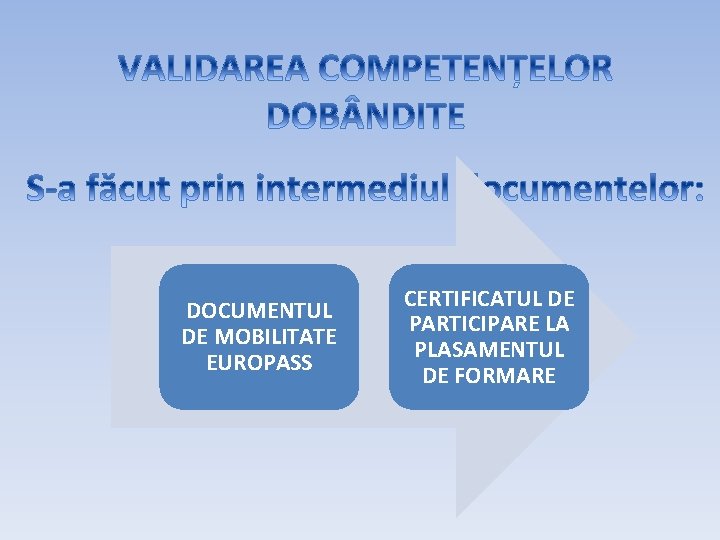 DOCUMENTUL DE MOBILITATE EUROPASS CERTIFICATUL DE PARTICIPARE LA PLASAMENTUL DE FORMARE 