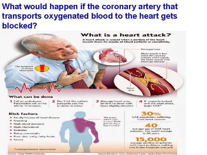 What would happen if the coronary artery that transports oxygenated blood to the heart