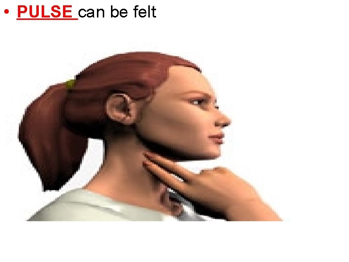  • PULSE can be felt 