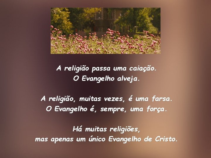 A religião passa uma caiação. O Evangelho alveja. A religião, muitas vezes, é uma