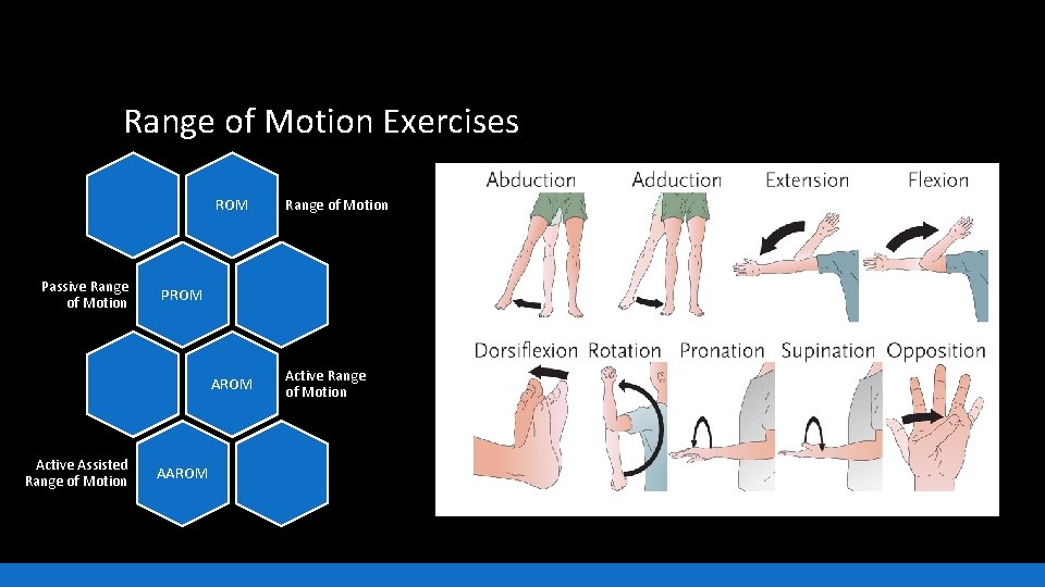 Range of Motion Exercises ROM Passive Range of Motion PROM Active Assisted Range of