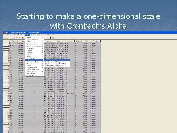 Starting to make a one-dimensional scale with Cronbach’s Alpha 